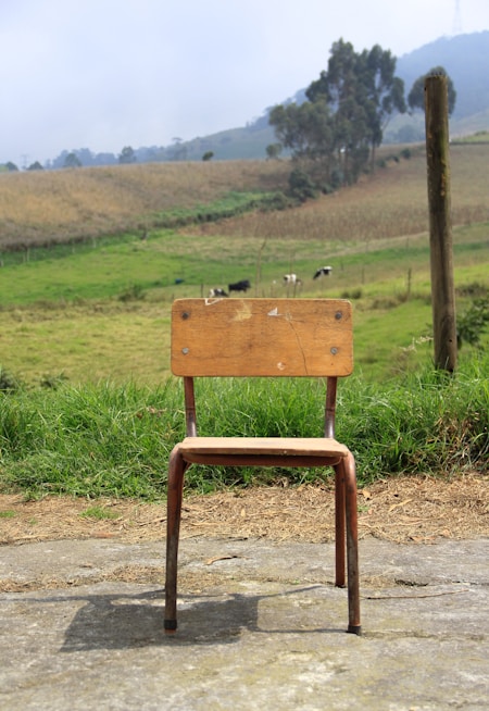 Dining Chair